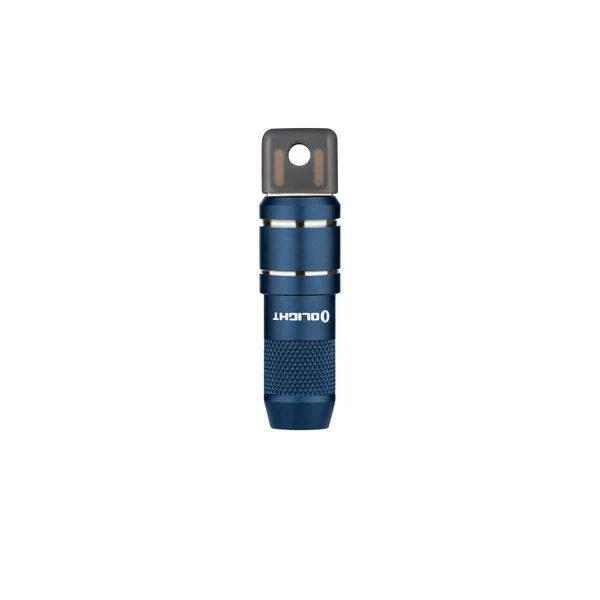 EverBrite 4 Pezzi Torce Elettriche LED Portachiave, Torcia Portatile EverBrite 4 Pezzi Torce Elettriche LED Portachiave, Torcia Portatile