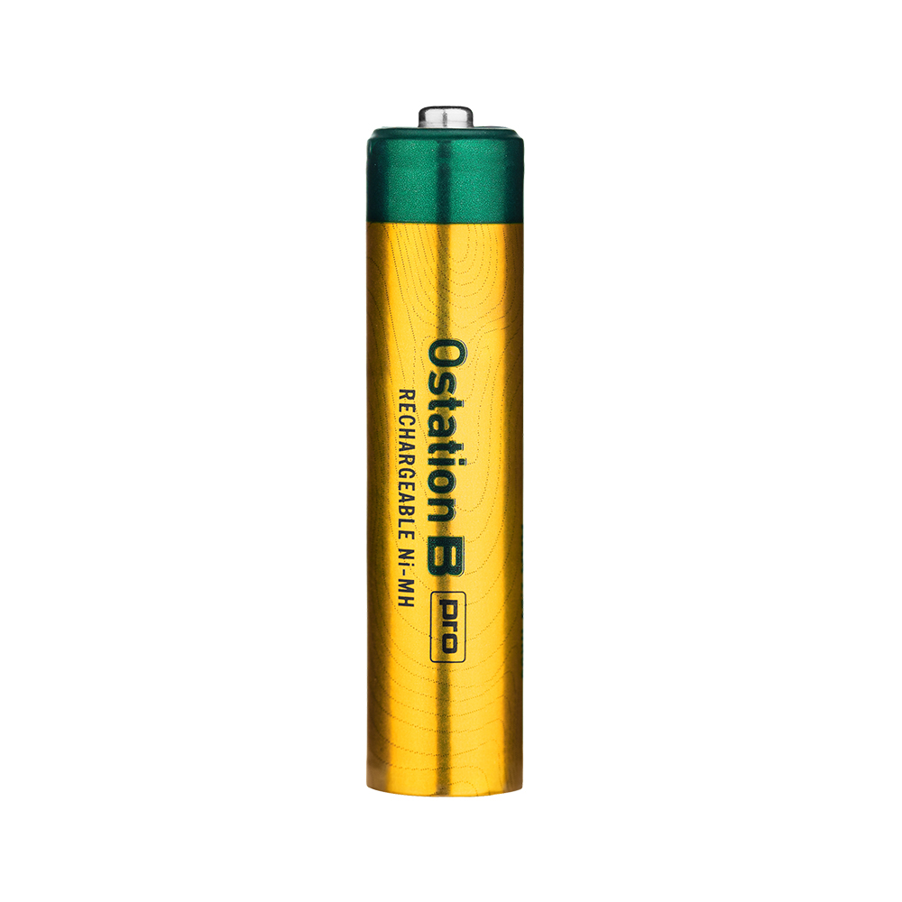 950 mAh 1.2V Akku 12 Stück für Ostation X AAA