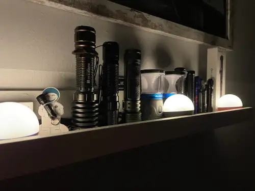 Im dunklen Wald 🌳