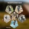 Vielseitige Outdoor-Axt für Baum fällen, Holz hacken, Glas brechen, Nägel ziehen und als Hammer