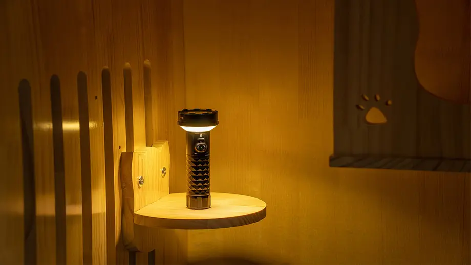 Schwarze Taschenlampe, warmes Licht, Holzregal, Holzpaneele, Pfotenabdruck.