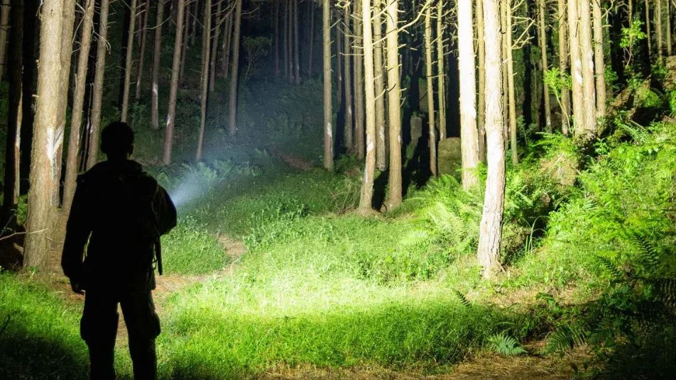 Wanderer beleuchtet mit Taschenlampe dunklen Waldweg bei Nacht.