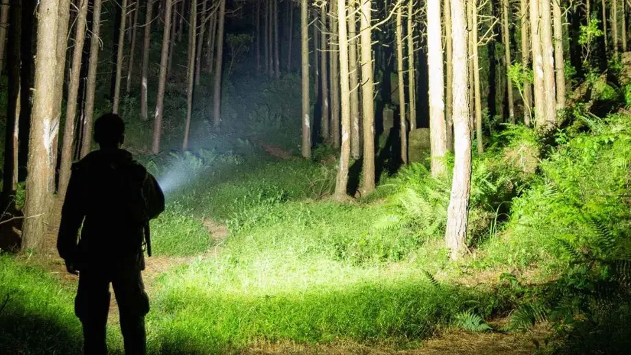 Wanderer beleuchtet mit Taschenlampe dunklen Waldweg bei Nacht.
